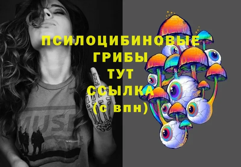 Галлюциногенные грибы Magic Shrooms  Андреаполь 